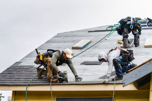 Professional Gutter Installation technician working in Mount Airy, NC